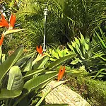 Vivenda Johanna *