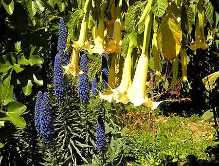 Vivenda Johanna Ferienhaus Lagos